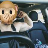 thexxlinfidi