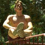 capitan_grifo_free